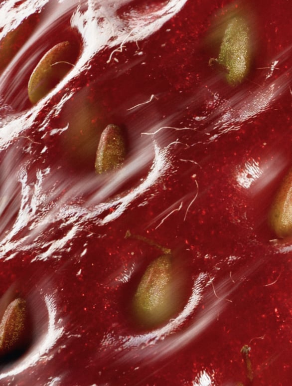 Sérum Peptides & Acide Hyaluronique - KIAR Beauty